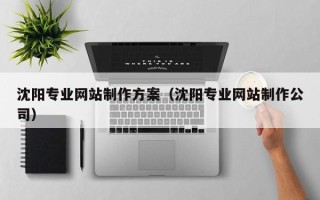 茂名沈阳专业网站制作方案（沈阳专业网站制作公司）